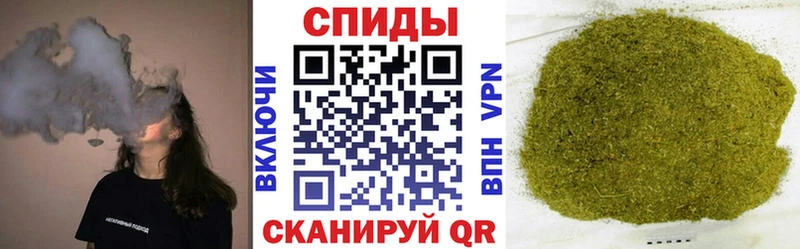 где найти   дарк нет формула  Бутират Butirat  Стародуб 